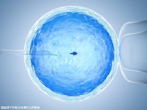 陈思远